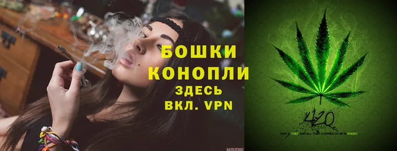 blacksprut онион  Усть-Джегута  Шишки марихуана White Widow 